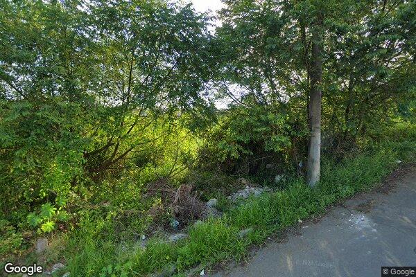 Fernando Cruz Barbosa de Moraes