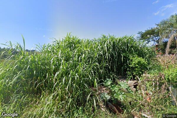 Vinicius Domingues de Morais