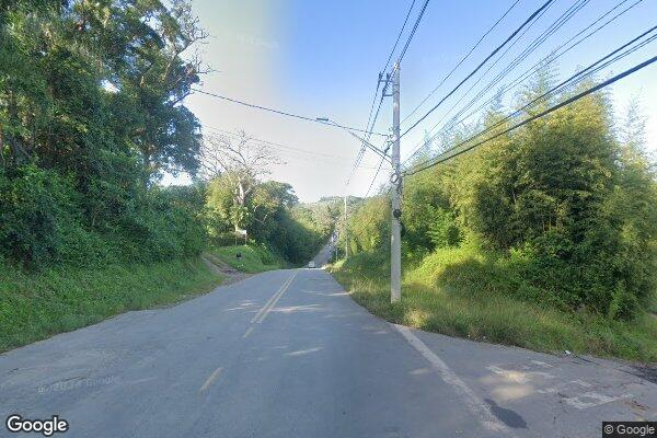 Benedita Dias de Oliveira das Dores