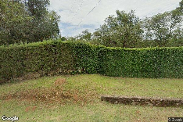 Guilherme Gomes Lopes Ribeiro