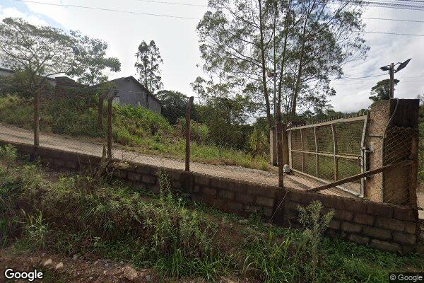 Rebeca de Camargo da Silva