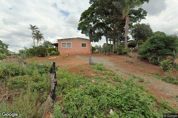 Fernando Henrique Rocha