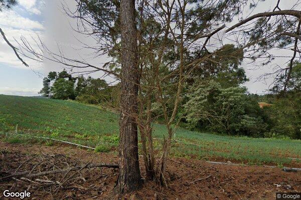 Vitor Antonio Felix da Silva