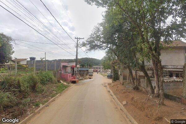 Iris Cristina Trindade