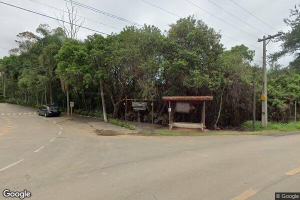 Ana Carolina Fermiano Ferreira Pires