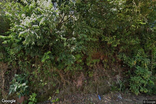 David Honorato da Silva