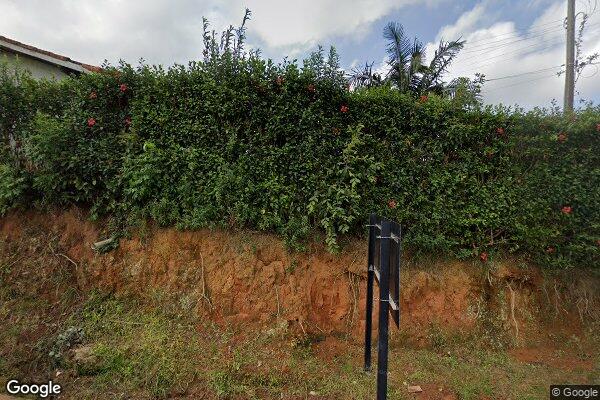 Maria Alice dos Santos Silva