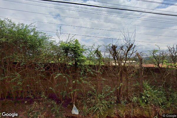 Jose Pereira de Sousa