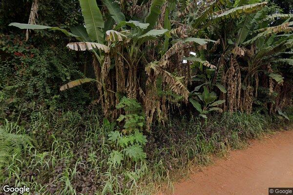 Suelen Dias de Camargo Perrutte