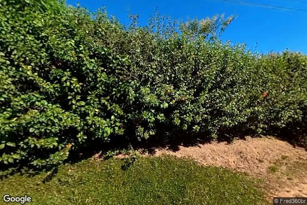 Weslley Placido da Silva