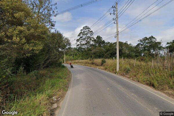 Iolene de Souza Zardo