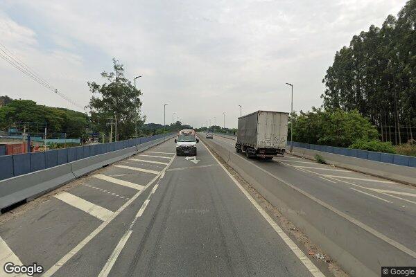 Leonel Ribeiro Domingues