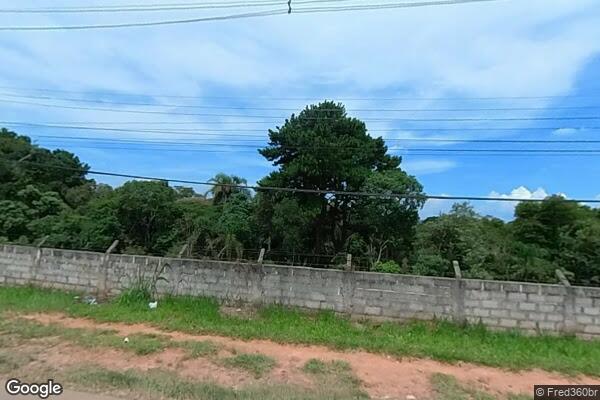 Aline Anselmo Domingues