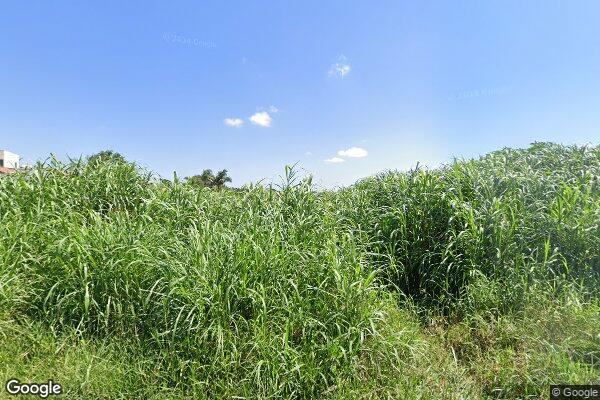 Alana Meres da Luz Nascimento