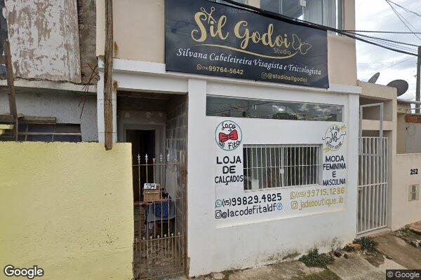 Silvana Rodrigues Godoi